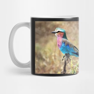 Lilac Breasted Roller, Serengeti, Tanzania Mug